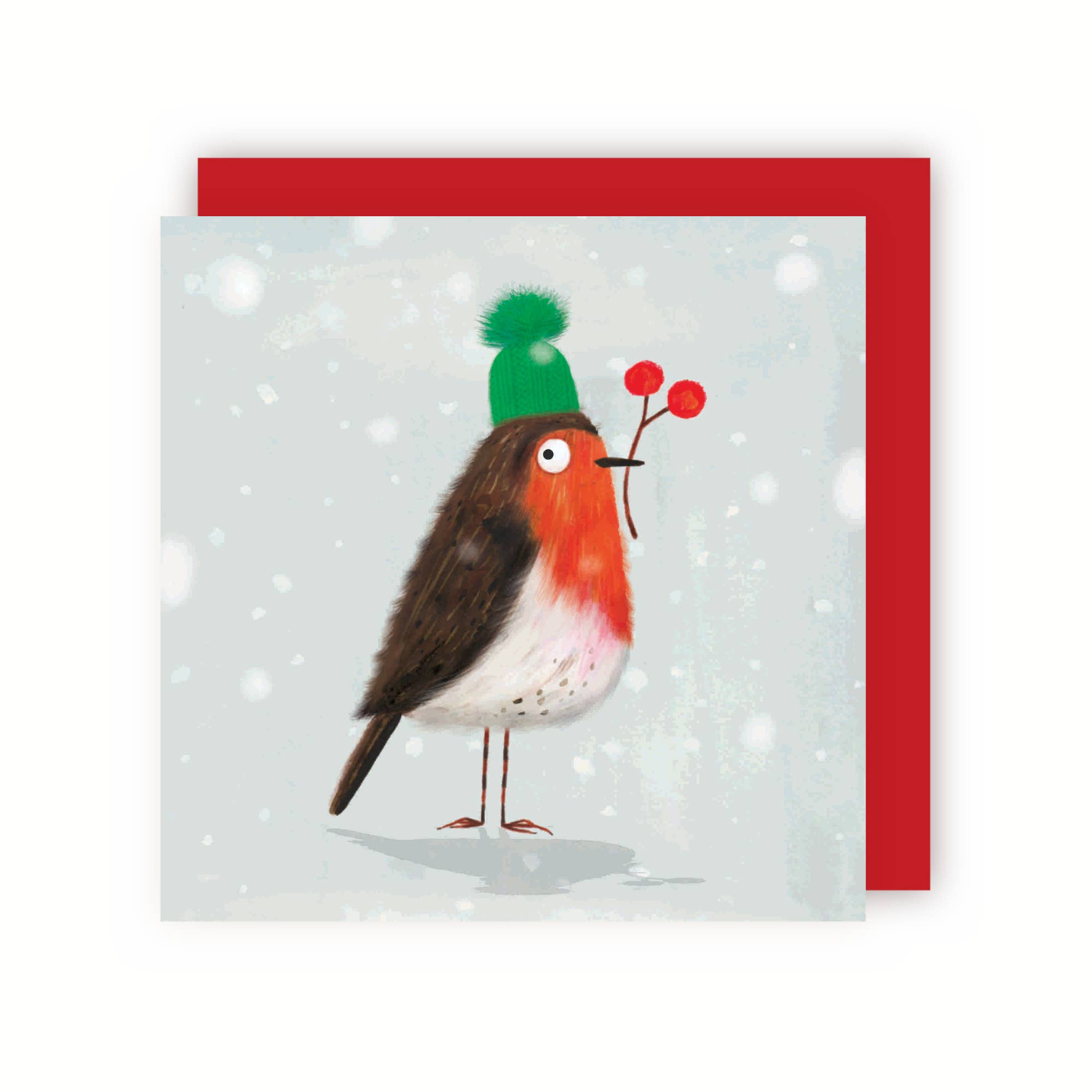 Christmas Robin Bird Christmas Card