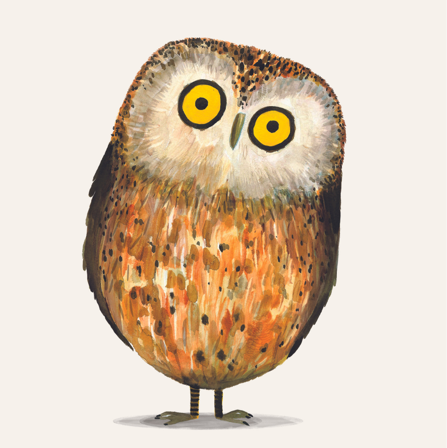 Lovely Friendly Little Owl Card