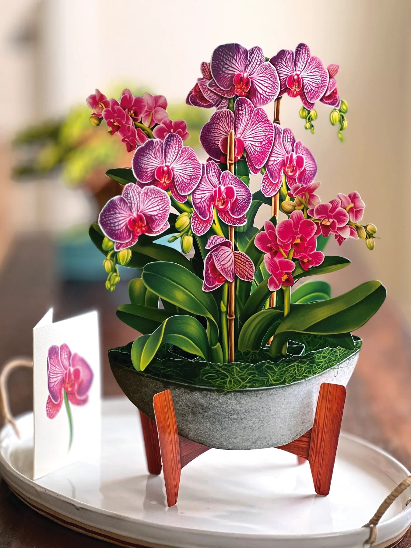 FreshCut Orchid Oasis Pop-Up Greeting Card