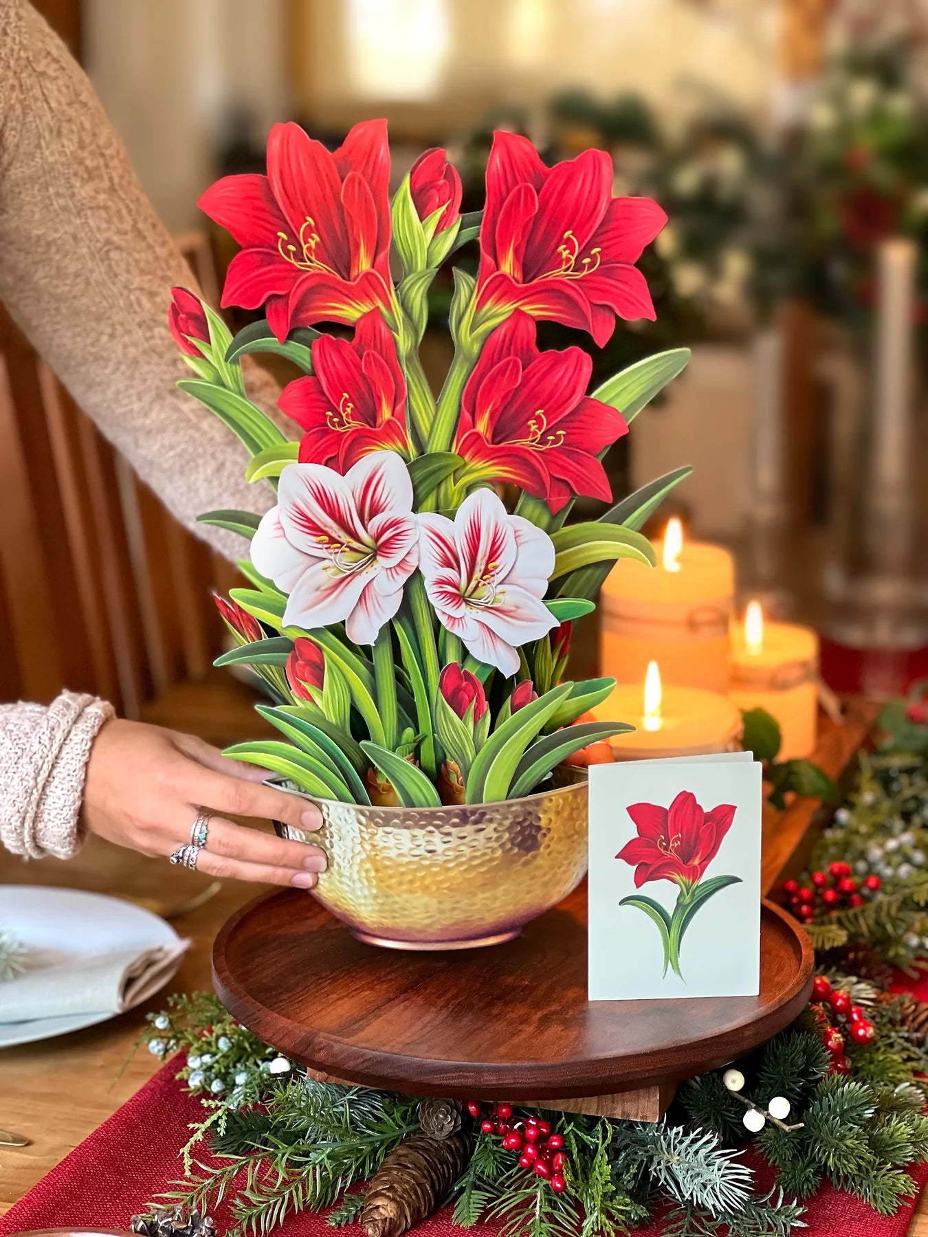 FreshCut Scarlet Amaryllis Pop-Up Greeting Card