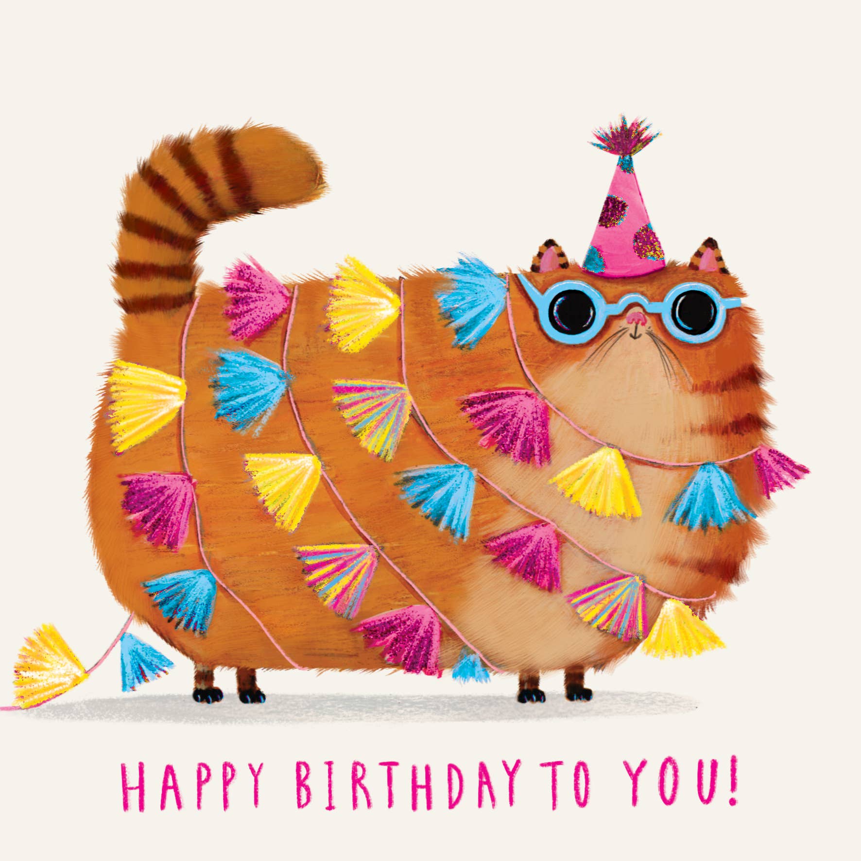 Birthday Party Cat Greeting Card