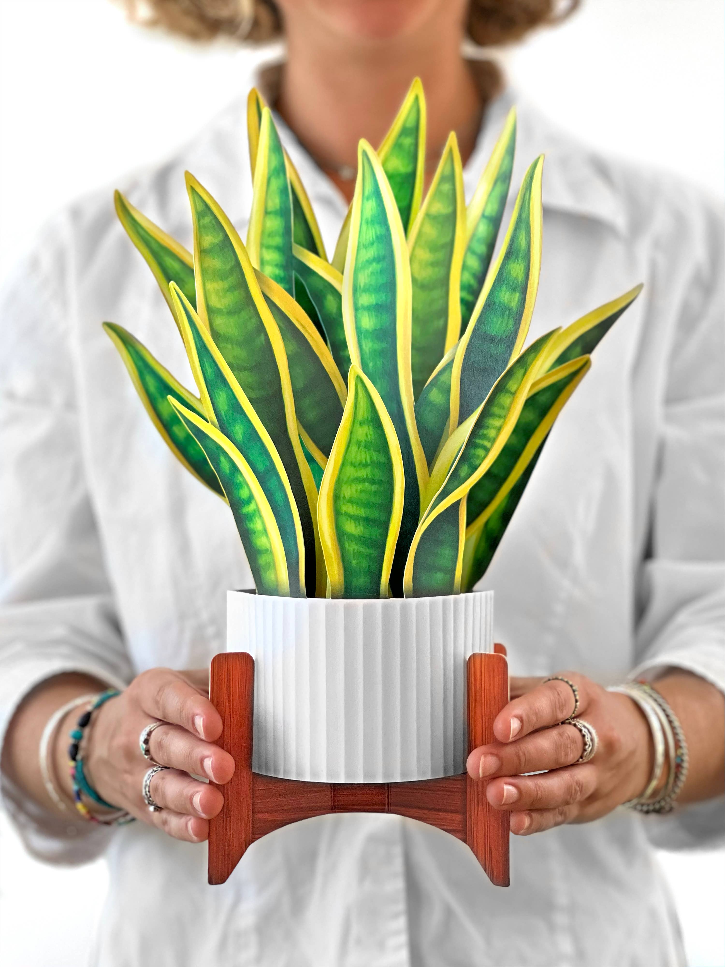 FreshCut Snake Plant Pop-Up Greeting Card