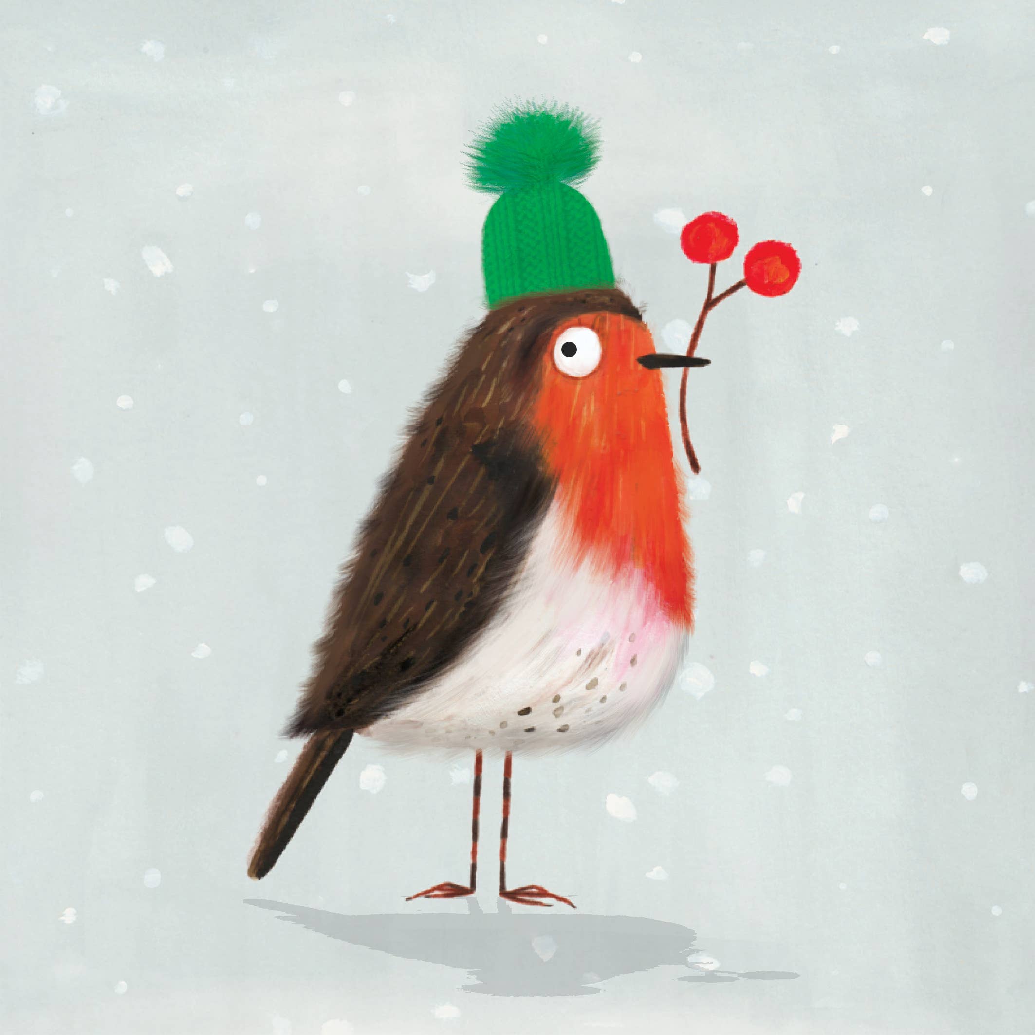 Christmas Robin Bird Christmas Card