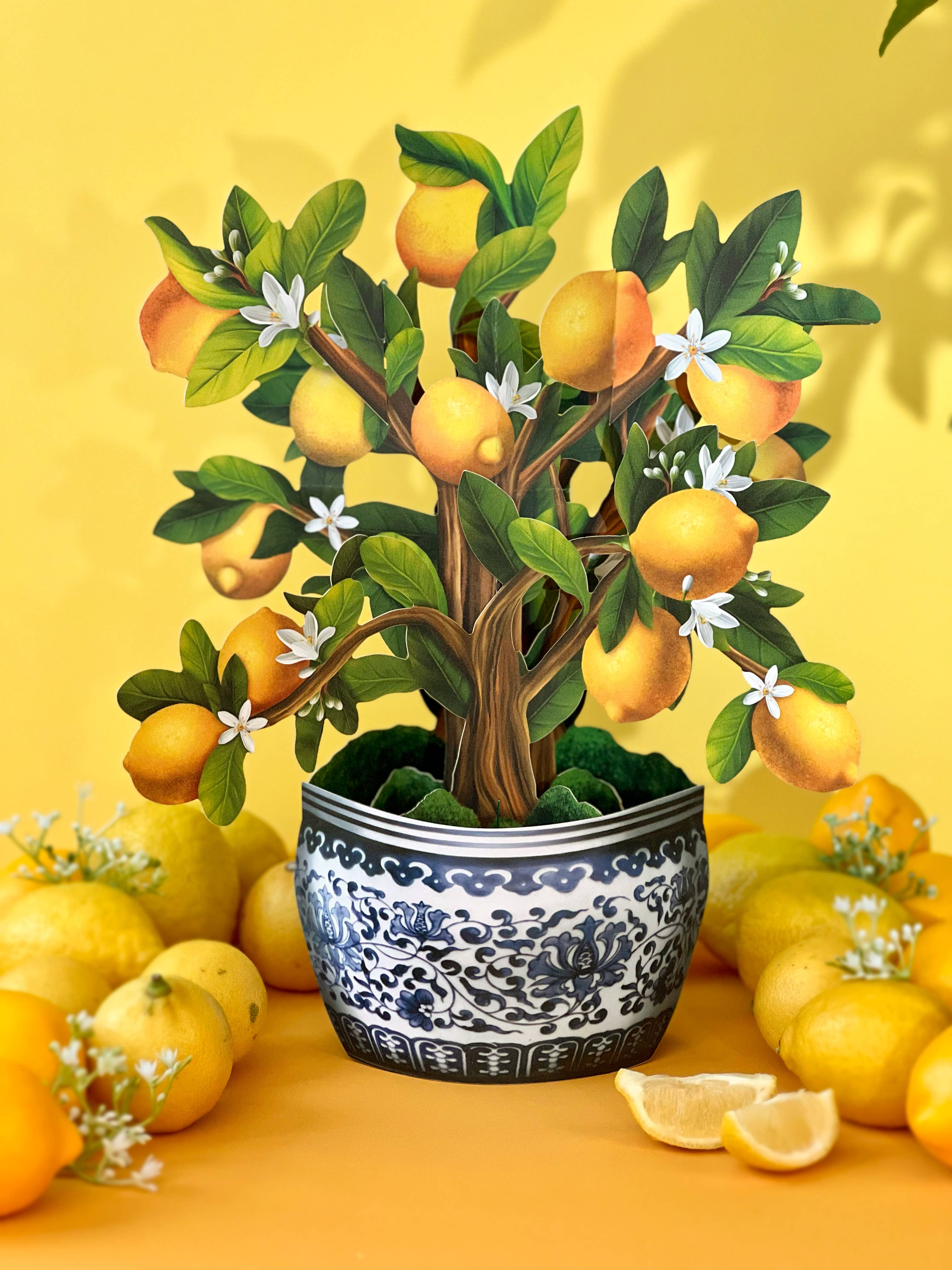 FreshCut Lemon Blossom Tree Pop-Up Greeting Card