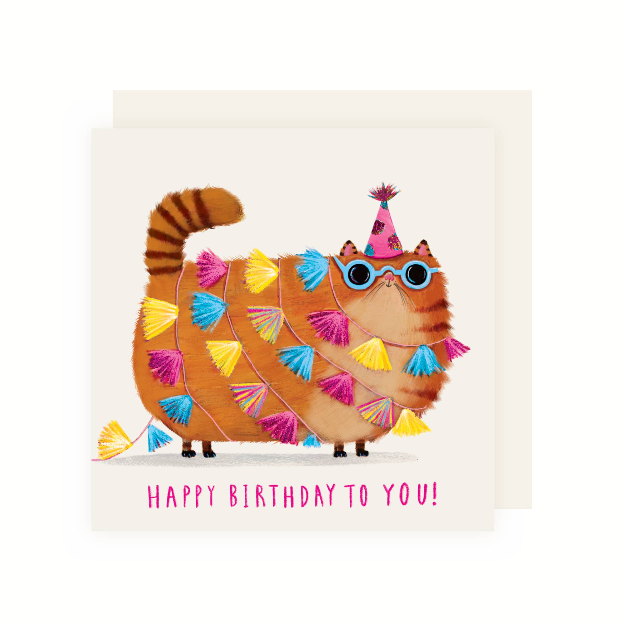 Birthday Party Cat Greeting Card